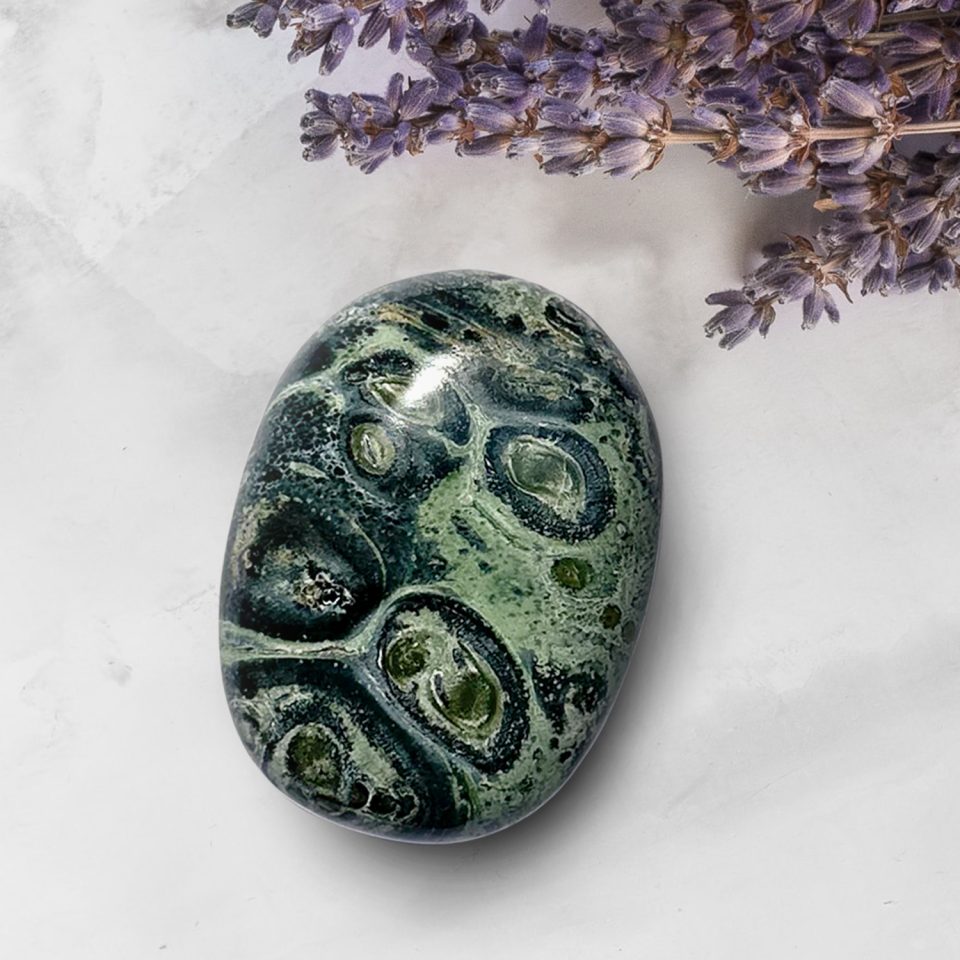 Kambaba Palm Stone benefits