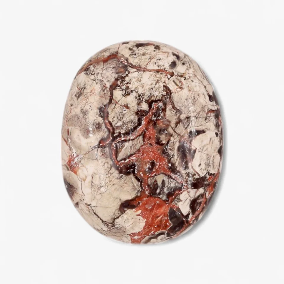 Money Agate Palm Stone