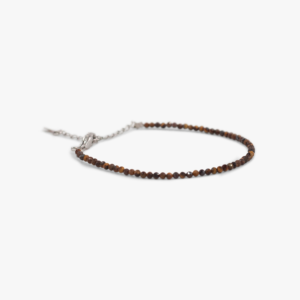 Tiger Eye Beads Anklet