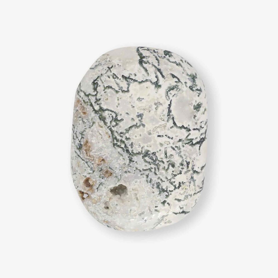 Tree Agate Palm Stone